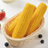 【MLT】头茬鲜玉米  软糯香甜  颗粒饱满  蔬菜 黄玉米 商品缩略图1