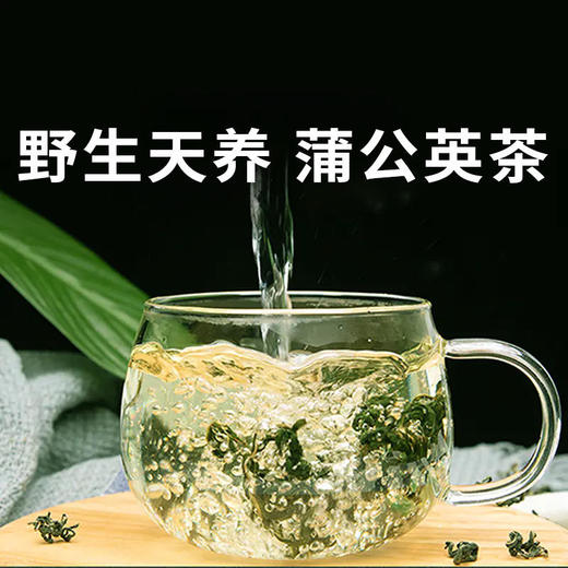 【蒲公英茶】野生长白山蒲公英11道工序层层严选 商品图0