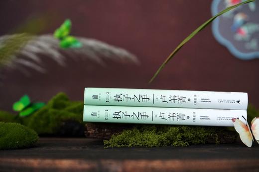 执子之手：清代的婚姻与伉俪之情 卢苇菁/著 商品图4