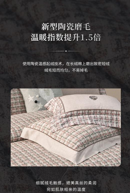 10楼  梦洁 全棉磨毛印花四件套 巴黎香颂  200*230 吊牌价2599元 活动价1599元 商品图2