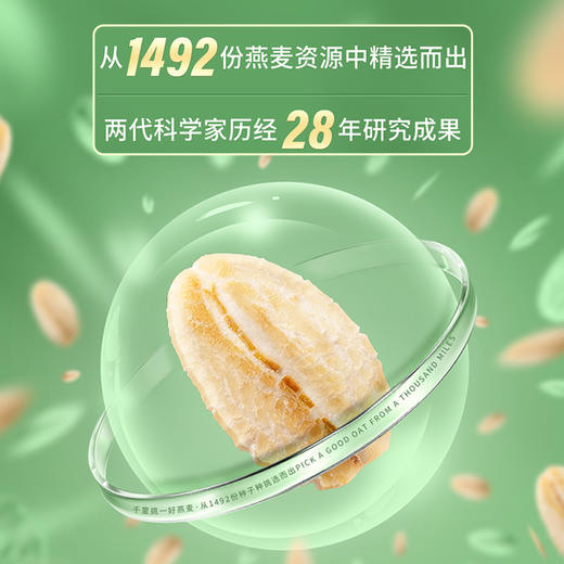 【世壮保健燕麦片】农科院权威研发，纯净配方无添加，低卡饱腹降糖降脂，冲泡即食，25g*16袋*5盒！ 商品图4