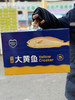宁德-大黄鱼礼盒 商品缩略图0