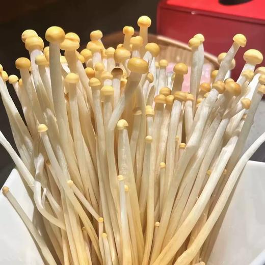 生鲜传奇黄金菇200g 单盒  ±10g 买放心菜就上瑞和泰 商品图0