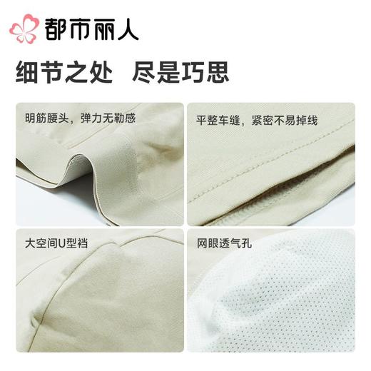 都市丽人内裤男士内裤50S水柔棉内裤棉平角内裤明筋内裤FKCC26 商品图3