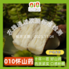 010垆土铁棍山药  药食同源 逆境生长积累养分 更营养 雪后采挖 口感面糯 十年一茬，只为一根好山药 商品缩略图0