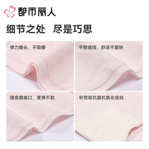 都市丽人内裤女士内裤100支棉内裤棉质内裤舒肤棉LKC5B6 商品图5