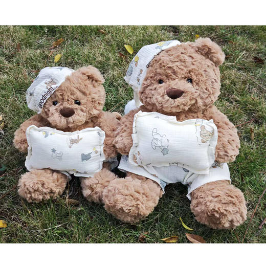 小号抱枕熊毛绒公仔玩具-纪念日百货门店同款168496273 商品图3