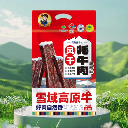 【西藏帮扶】西藏风干牦牛肉干  252g/袋  （多规格可选） 商品图0