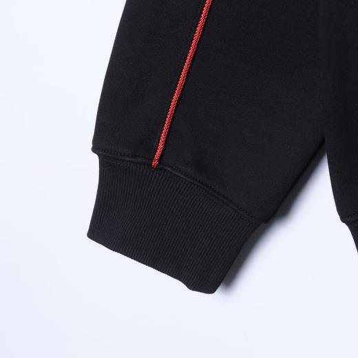 26WY10SDSA男士秋冬新款痞帅男装潮牌撞色线条立领卫衣百搭套头时尚上衣 商品图4