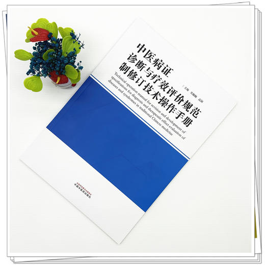 中医病证诊断与疗效评价规范制修订技术操作手册 史楠楠 高颖 主编 为中医病证诊断与疗效评价规范行业标等 中国中医药出版社 商品图2