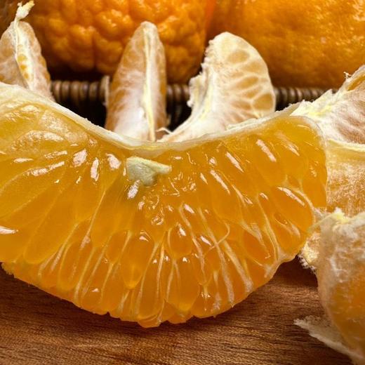 【柑与橘双鲜组合】大理椪柑和纽荷尔脐橙  太绝了！鲜爽叠加甜润翻倍！多汁过瘾美味不单调！ 商品图2