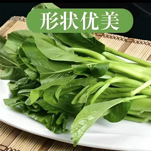 【MLT】新鲜快菜  叶厚  柄宽  好吃  鲜嫩  翠绿 商品图2