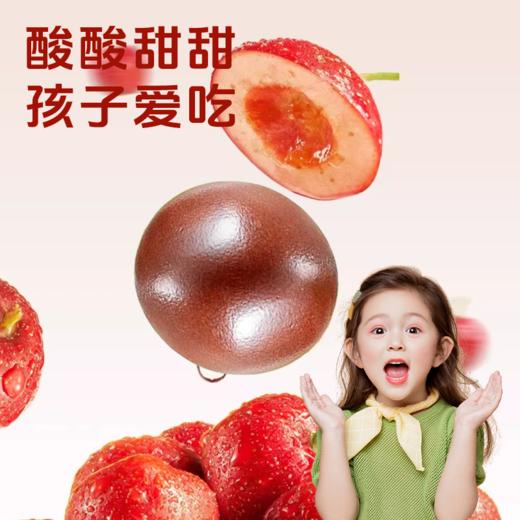 【陈皮茯苓山楂丸】古方新作 八味食材 药食同源 呵护脾胃 用心还原自然香醇！ 商品图2