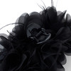 三彩2026新款火鸡毛装饰大抓夹暗黑轻奢小众氛围感个性时尚灵动女 商品缩略图4