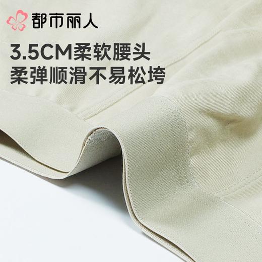 都市丽人内裤男士内裤50S水柔棉内裤棉平角内裤明筋内裤FKCC26 商品图5