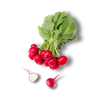 樱桃萝卜400g 单袋份 ±10g 买放心菜就上瑞和泰 商品缩略图0