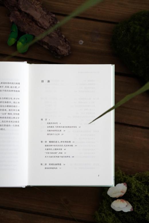 执子之手：清代的婚姻与伉俪之情 卢苇菁/著 商品图11