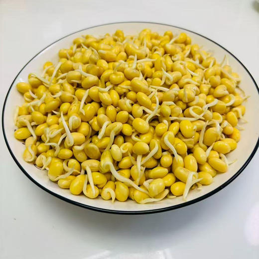 【MLT】新鲜黄豆嘴  炒菜  凉拌  炖菜  黄豆嘴新鲜蔬菜 商品图2