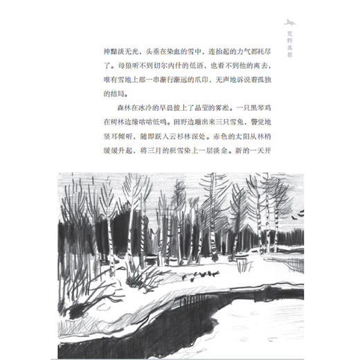 《特鲁申·北境森林奇旅》（全3册） 商品图8