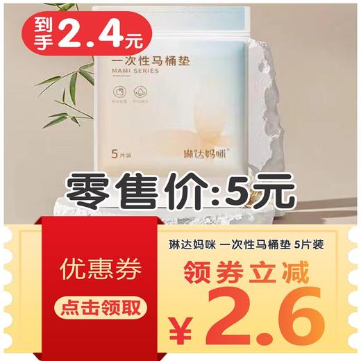 琳达妈咪 一次性马桶垫 5片装 商品图1