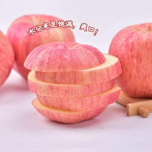 【白水苹果】红富士4.5-5斤12枚75#中果 商品图2