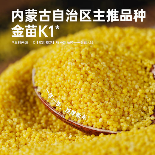 彩虹星球|小米 商品图2