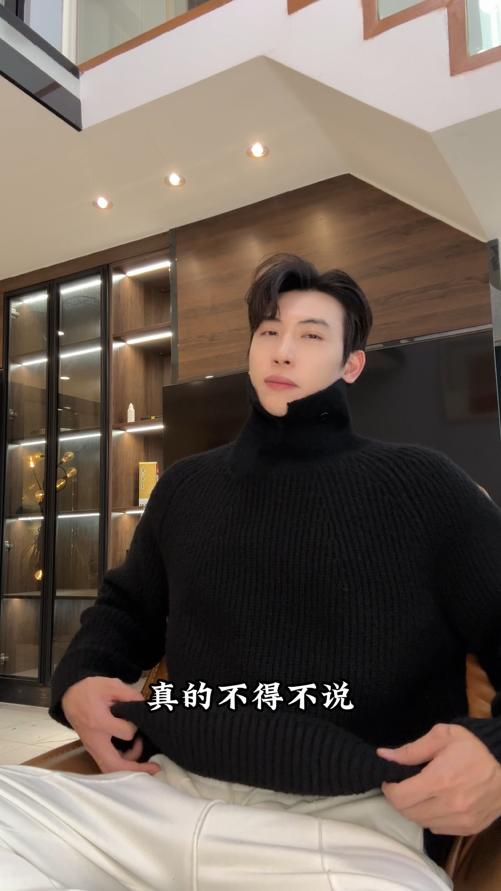 213SDSA男士秋冬新款痞帅男装慵懒风纯色简约可翻高领毛衣百搭宽松 商品图0