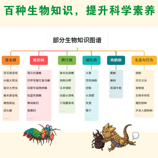我的奇妙昆虫朋友 5册 全彩生物知识漫画  昆虫版《解忧杂货店》 商品图3