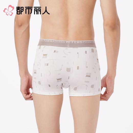 都市丽人内裤男士内裤60S木莱尔内裤人棉平角内裤明筋内裤FKCC15 商品图2