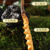 【现挖西藏鲜虫草】季节限定福利 补充满满能量（收到货后请尽快冷冻保存哦） 商品缩略图3