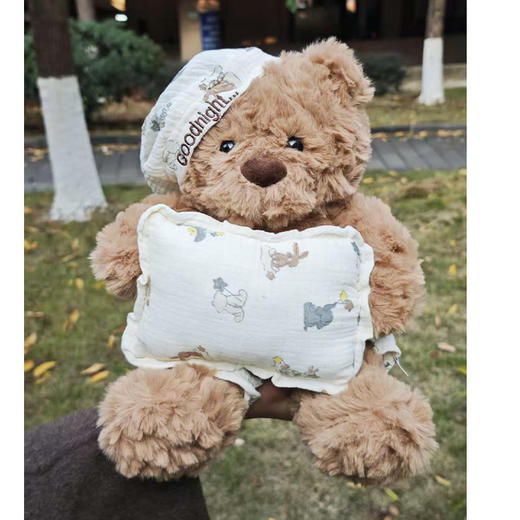 小号抱枕熊毛绒公仔玩具-纪念日百货门店同款168496273 商品图0