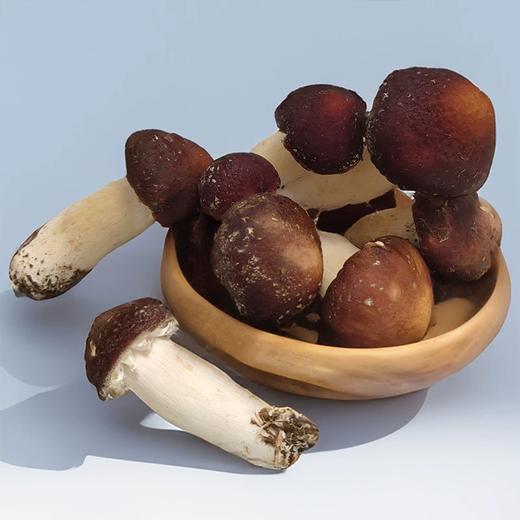 赤松耳150g 单份  ±10g 买放心菜就上瑞和泰 商品图0