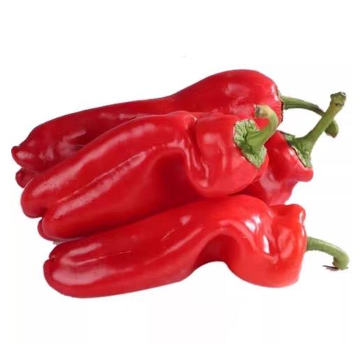 马鞍山厚皮红椒200g  盒装  ±15g 买放心菜就上瑞和泰 商品图0