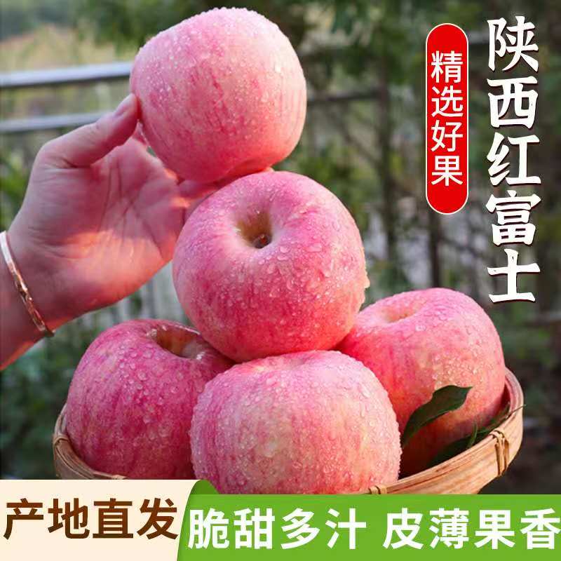 【白水苹果】红富士4.5-5斤12枚75#中果