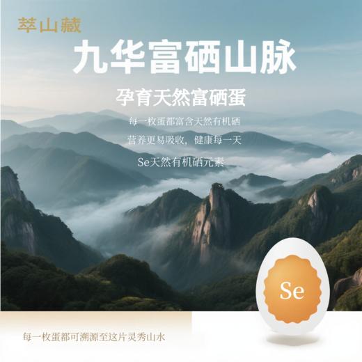 萃山藏九华山富硒山林散养有机富硒土鸡蛋30枚 商品图2