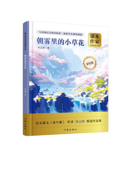 课本作家--朝雾里的小草花 商品图0