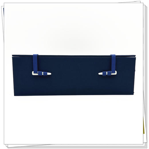 【全2册】守山阁校本黄帝内经（灵枢+素问王注）熙霞子 姚建飞 整理 率真书斋 中国中医药出版社 商品图2