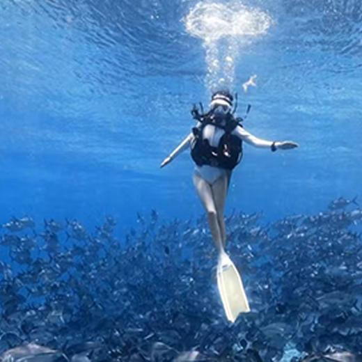 仙本那琥珀假期水下摄影 商品图2