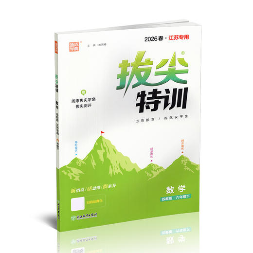 2026春 拔尖特训 数学 苏教版 六年级下册 江苏专用 小学教辅 高阶提优 同步练习 学生练习 通成学典 6下江苏凤凰教育出版社 商品图4