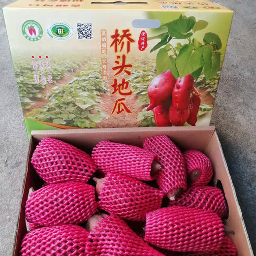  海南桥头地瓜 无筋软糯如板栗 商品图3