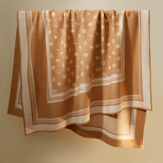 万事利 聚福毯 桑蚕丝保暖时尚福满祝福新年礼物送妈妈保暖毯子 商品图3