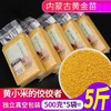 【当季新米❗️口感棉糯】内蒙古赤峰黄金苗小米500g 真空新米黄小米五谷杂粮 商品缩略图0