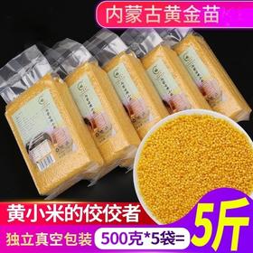 【当季新米❗️口感棉糯】内蒙古赤峰黄金苗小米500g 真空新米黄小米五谷杂粮