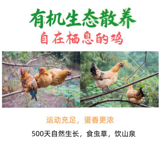 萃山藏九华山富硒山林散养有机富硒土鸡蛋30枚 商品图3