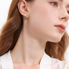 三彩2026新款八芒星锆石小耳钉S925银针小众设计感轻奢极简通勤女 商品缩略图1