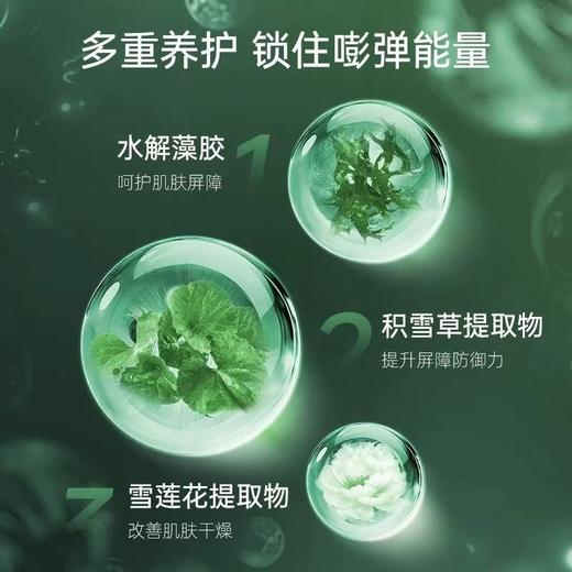 瑞士laestephe瑞斯美绿鱼子补水保湿紧致面膜 紧致美白补水屏障呵护春夏锁水女 6片装 商品图6