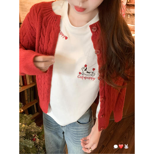 <曾小咸推荐>2.11现货秒杀 ！微信超特价！韩系刺绣加绒长袖t恤 日常139.99 立减70 秒杀69.99！！ 商品图3