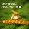 【现挖西藏鲜虫草】季节限定福利 补充满满能量（收到货后请尽快冷冻保存哦） 商品缩略图1