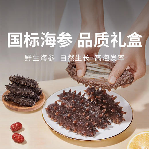 【大连原产地直发 淡干辽刺参礼盒】大连深海底播6-7年，六排刺淡干辽刺参，10倍泡发！ 商品图0