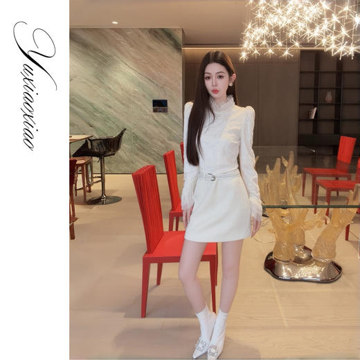 余潇潇【白鸽手册】法式气质珠片绣立体蕾丝立领泡泡袖拼接连衣裙 商品图4